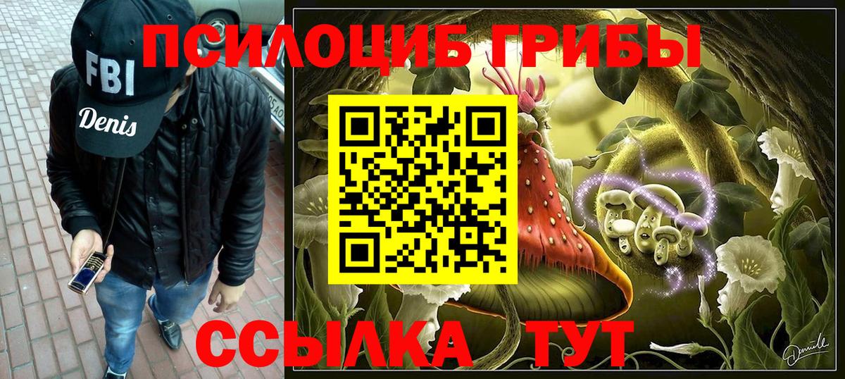 Дедовск  Псилоцибиновые грибы мухоморы  Галлюциногенные грибы прущие грибы  Вход с VPN 