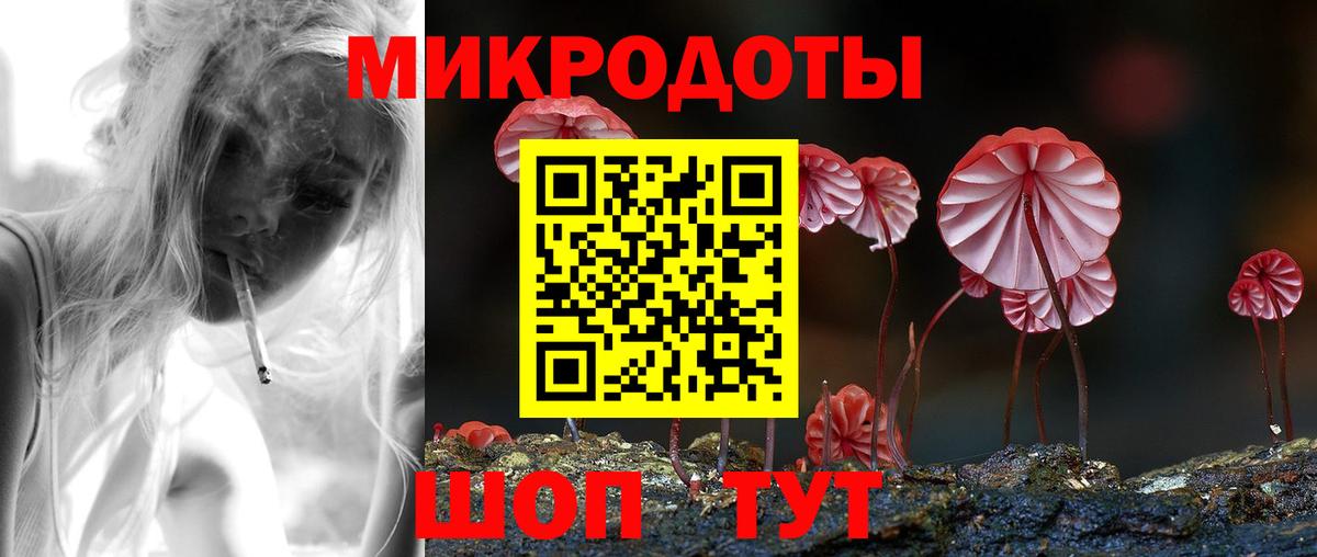 Галлюциногенные грибы Cubensis Дедовск